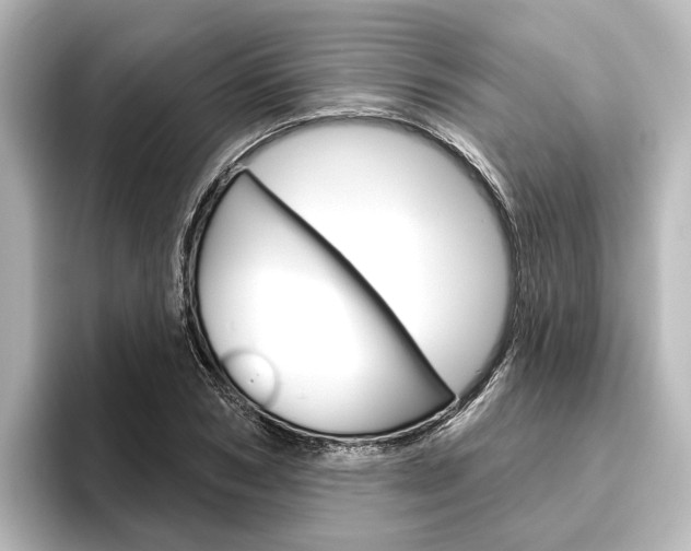 X0000096430978200801241020