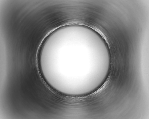 X0000096430981200801241020