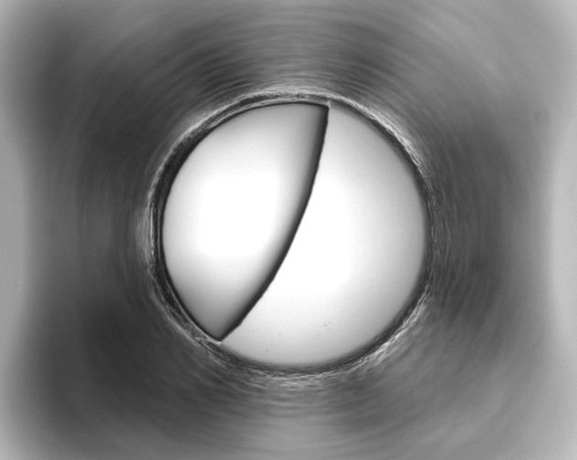 X0000096430982200801241020
