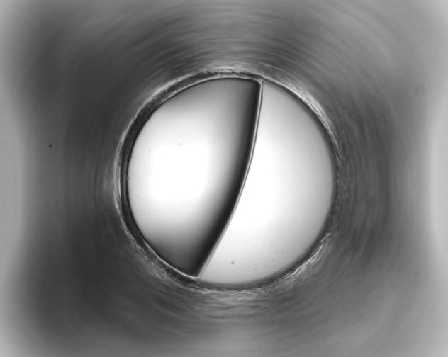 X0000096430984200801241020