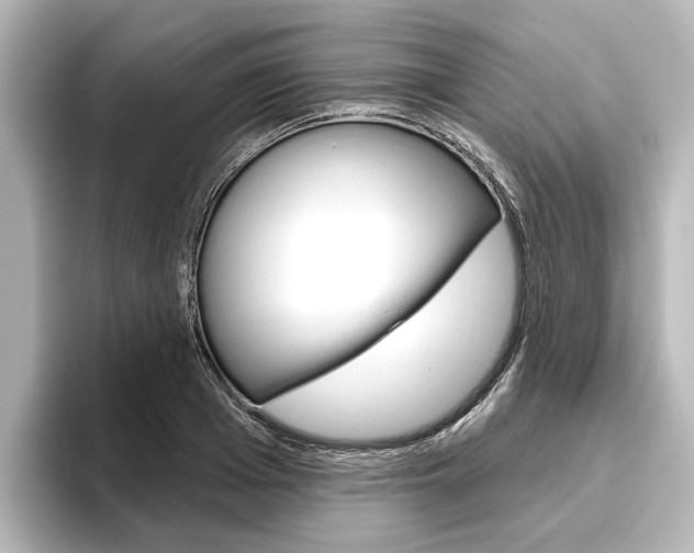 X0000096430985200801241020