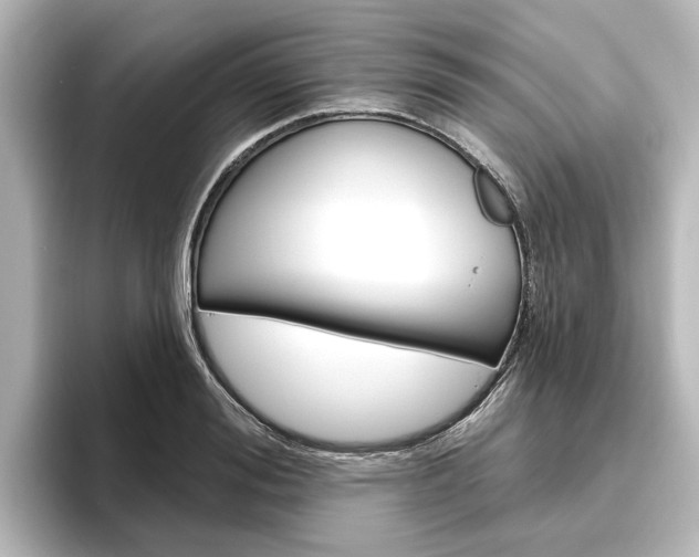 X0000096430988200801241020