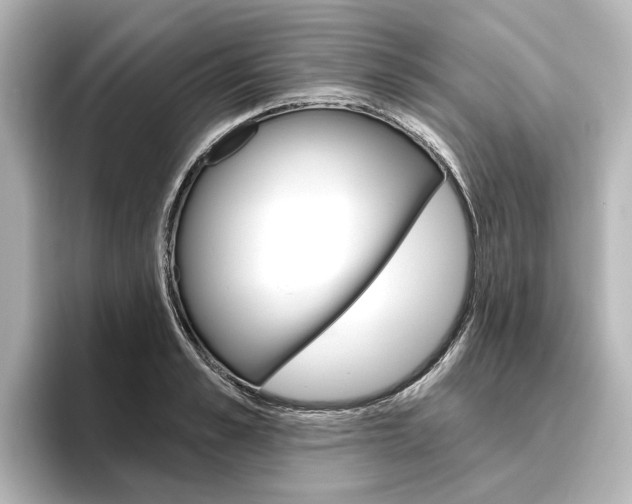 X0000096430989200801241020