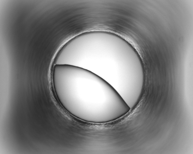 X0000096430990200801241020