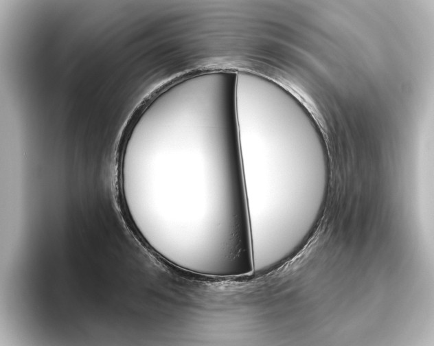 X0000096430992200801241020