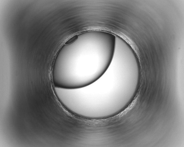 X0000096430993200801241020