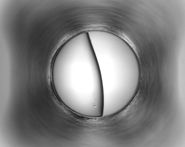 X0000096430994200801241020
