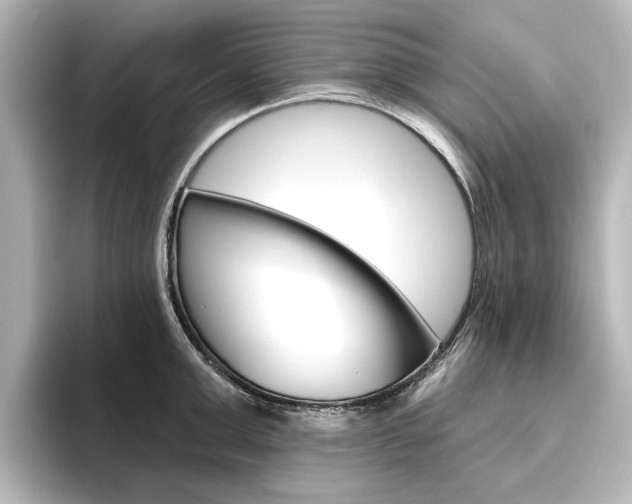 X0000096430999200801241020