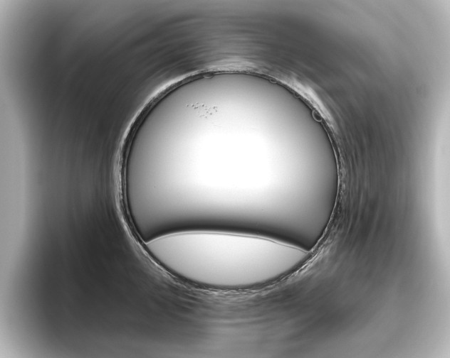 X0000096431000200801241020