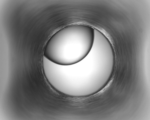 X0000096431001200801241020