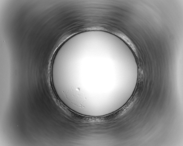 X0000096431002200801241020