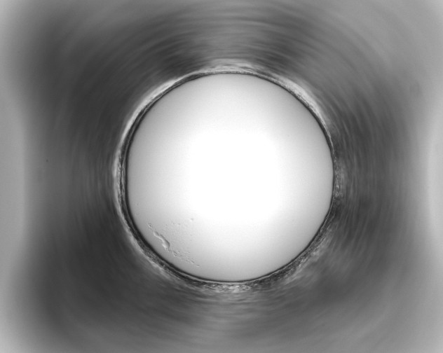 X0000096431003200801241020