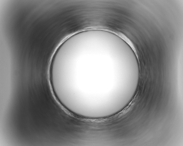 X0000096431005200801241020