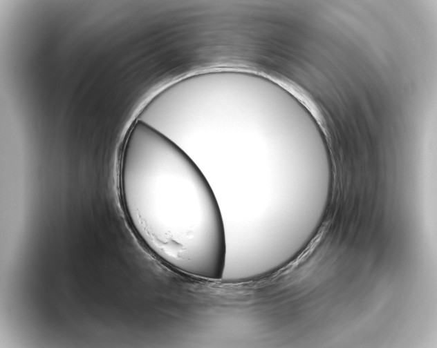 X0000096431006200801241020