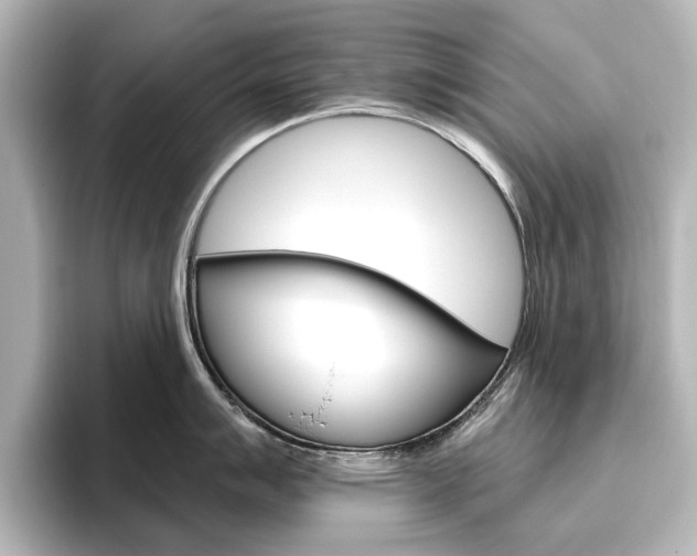 X0000096431007200801241020