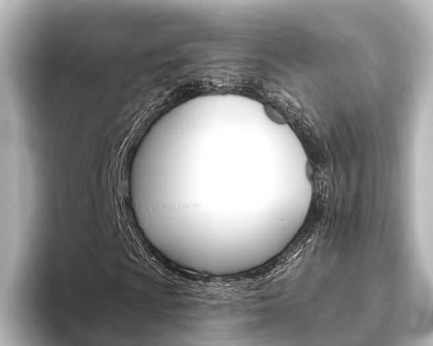 X0000096431009200801241019