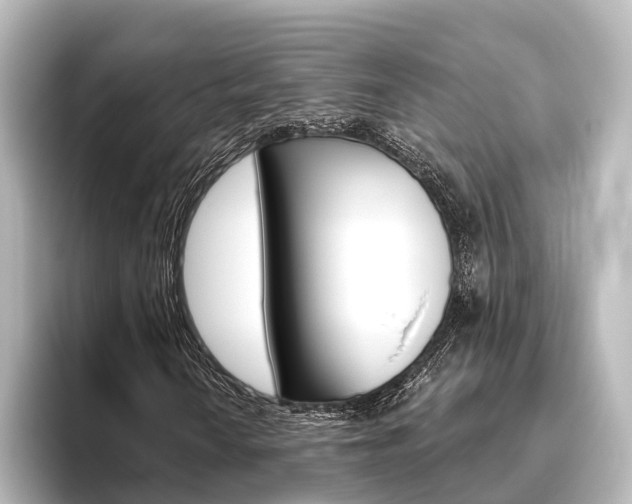 X0000096431010200801241019