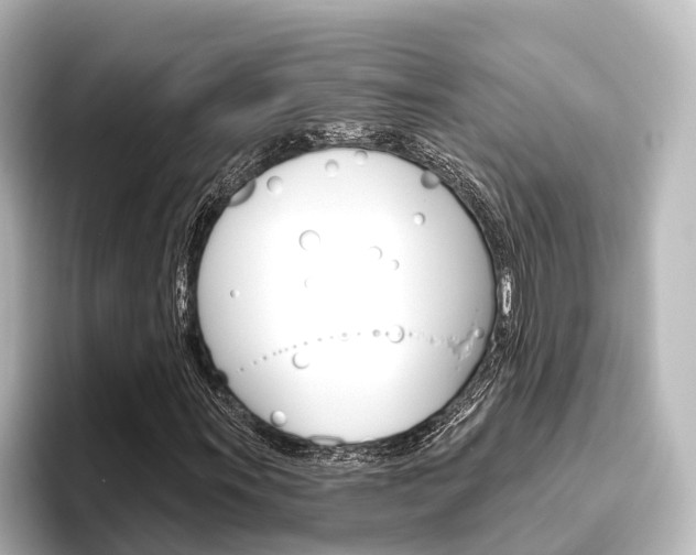 X0000096431011200801241019