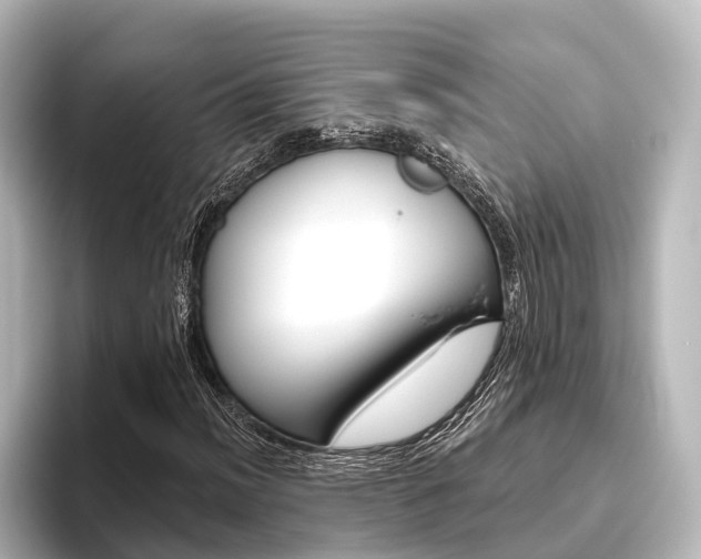 X0000096431012200801241019