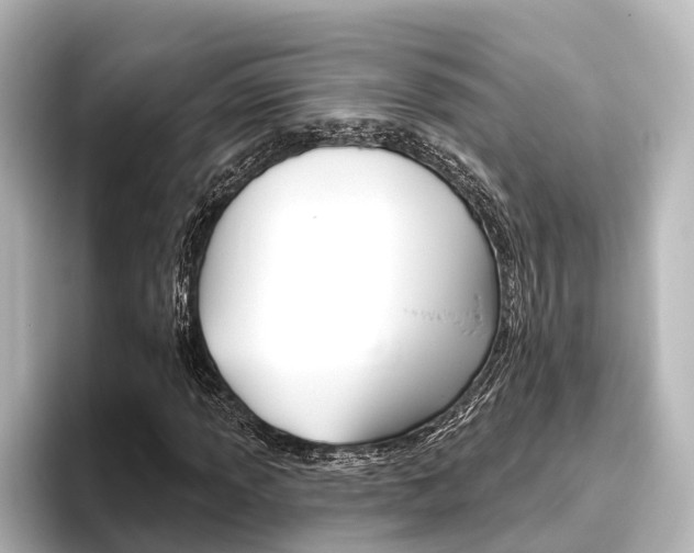 X0000096431013200801241019