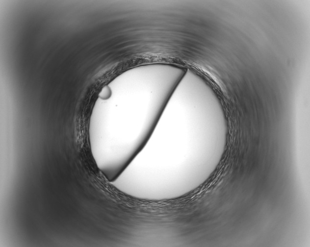 X0000096431015200801241019