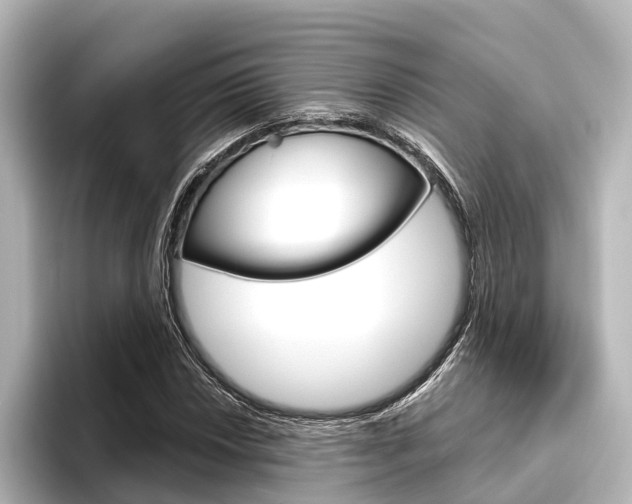 X0000096431018200801241019