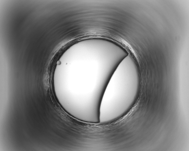 X0000096431019200801241019