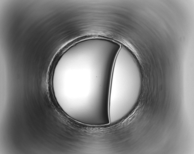 X0000096431020200801241019