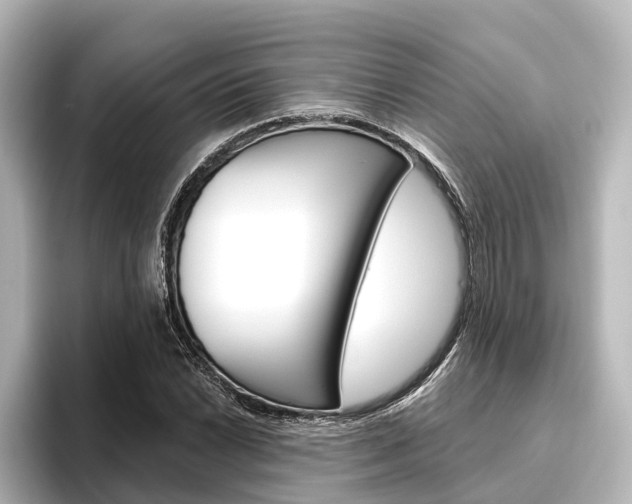 X0000096431022200801241019