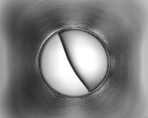 X0000096431023200801241019