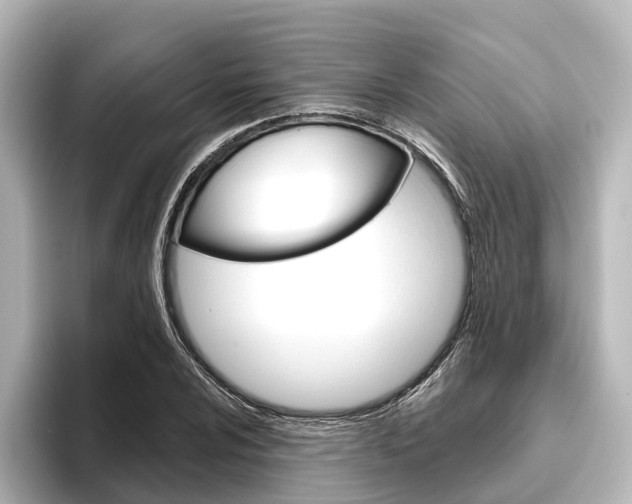 X0000096431024200801241019