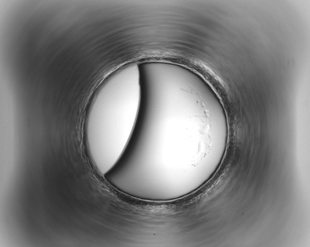 X0000096431025200801241019