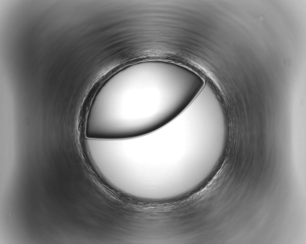 X0000096431026200801241019