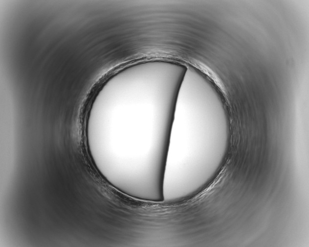 X0000096431027200801241019