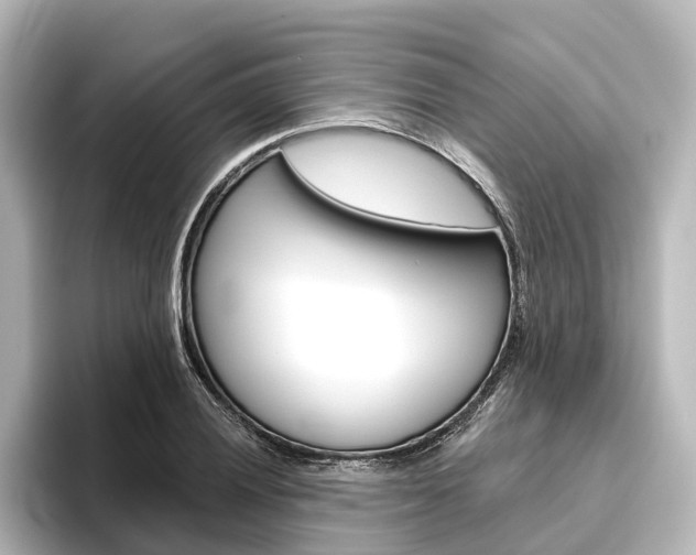 X0000096431028200801241019