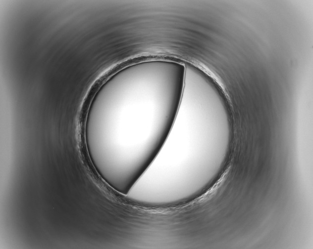 X0000096431029200801241019