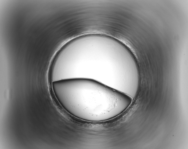 X0000096431030200801241019