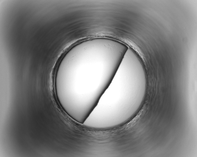 X0000096431031200801241019