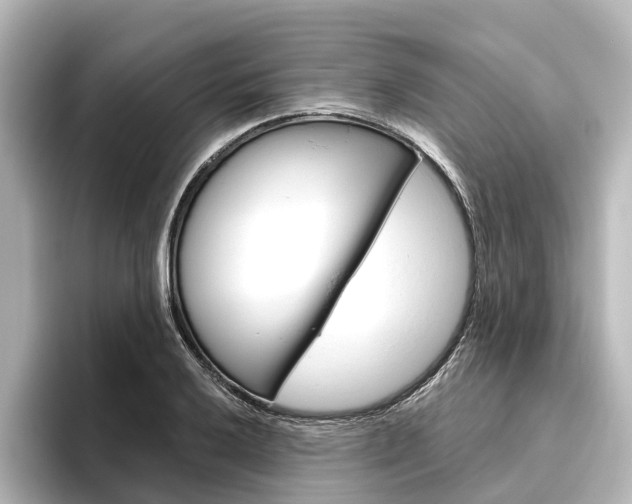 X0000096431032200801241019
