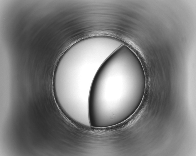 X0000096431033200801241019
