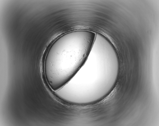 X0000096431034200801241019