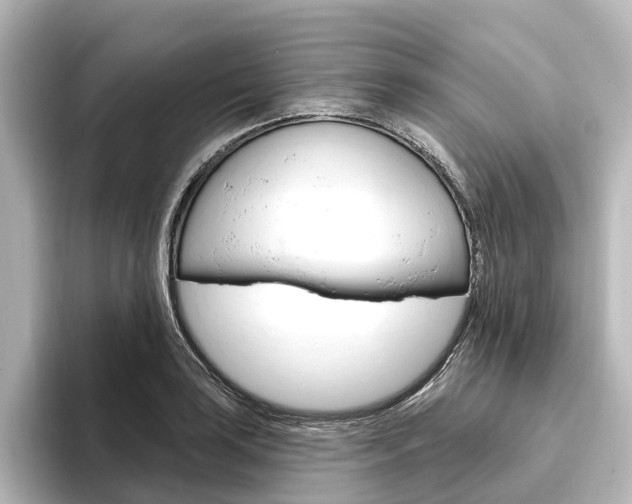 X0000096431035200801241019