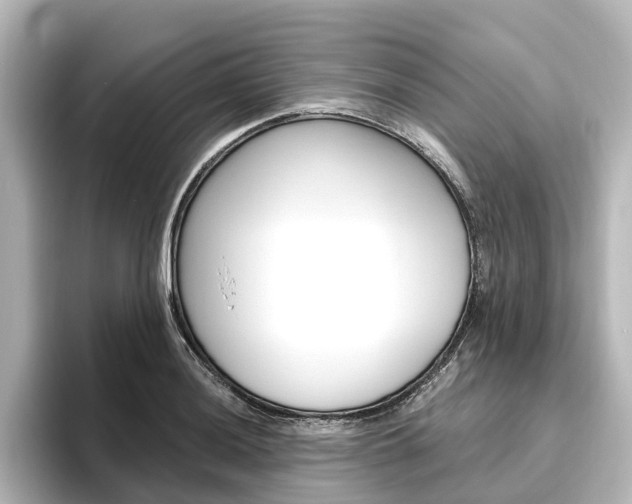 X0000096431036200801241019