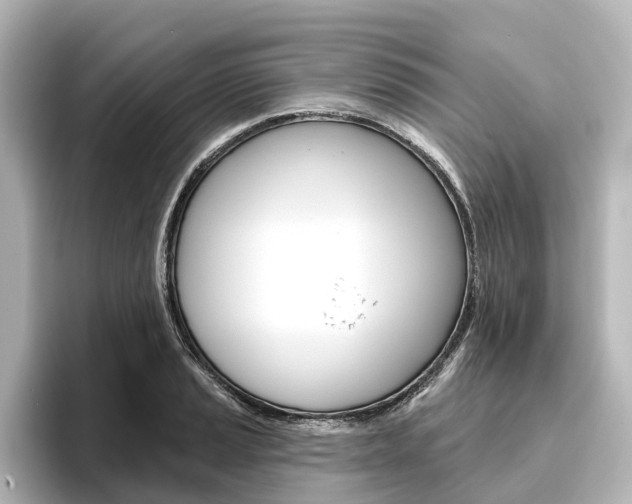 X0000096431037200801241019