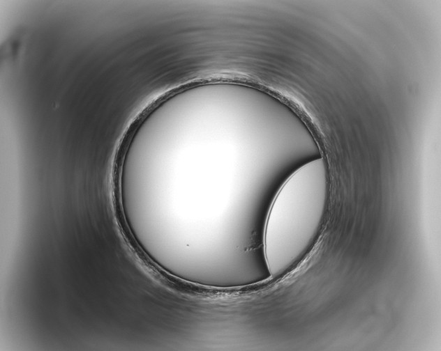 X0000096431038200801241019