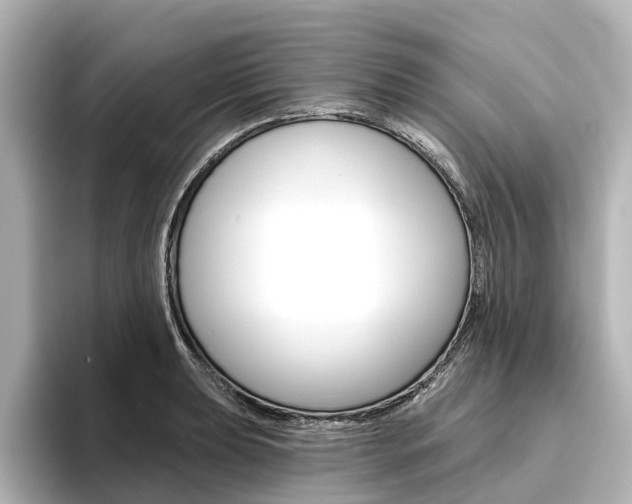 X0000096431039200801241019