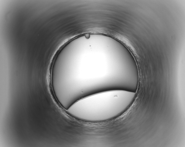 X0000096431040200801241019