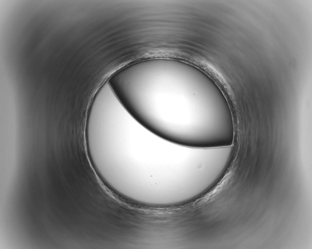 X0000096431041200801241019