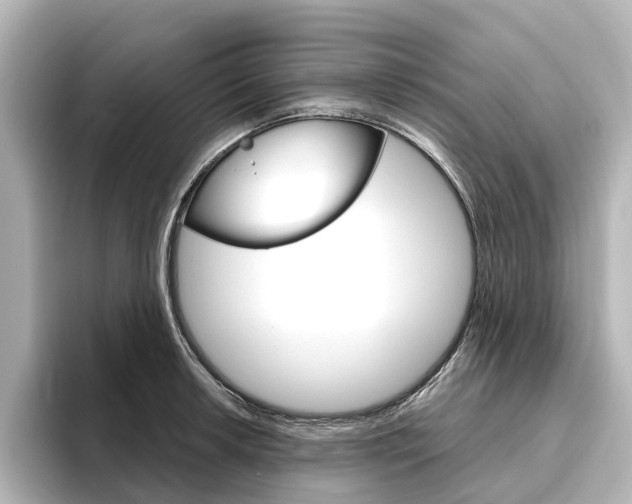 X0000096431042200801241019