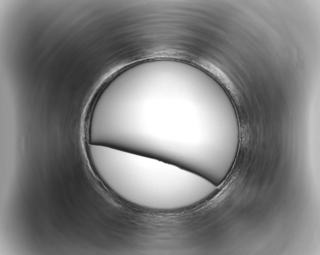 X0000096431043200801241019